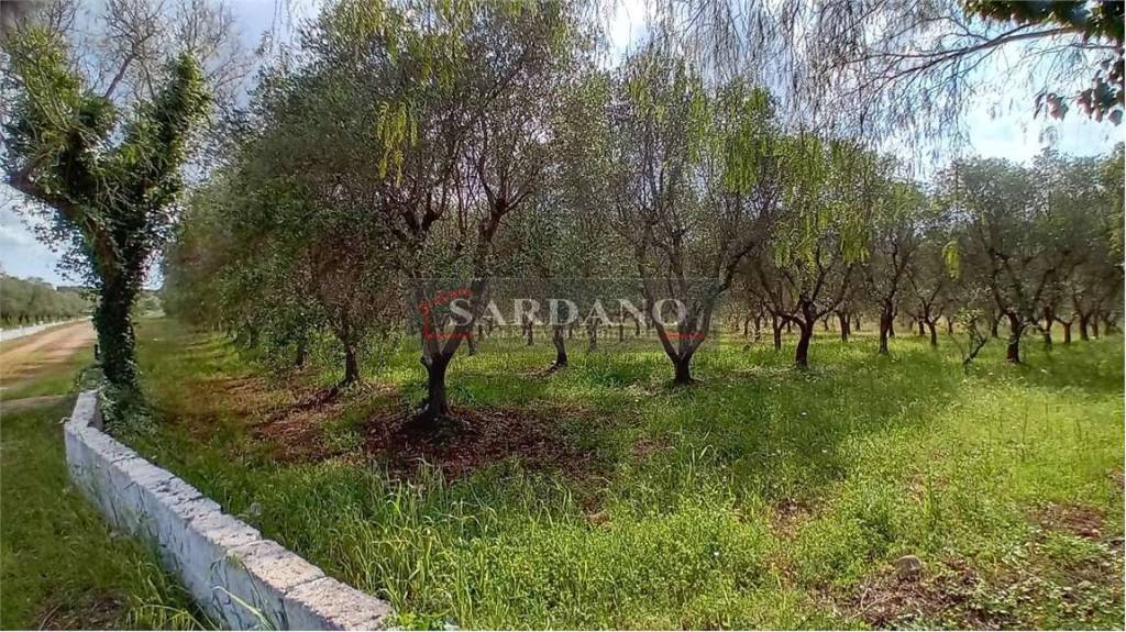 immagine annuncio 7 di 9