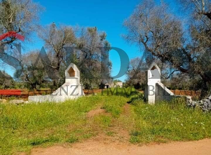 immagine annuncio 3 di 6