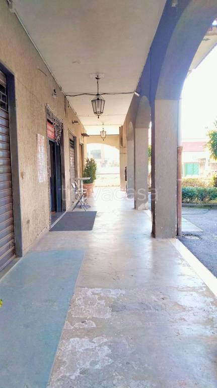 immagine annuncio 11 di 13