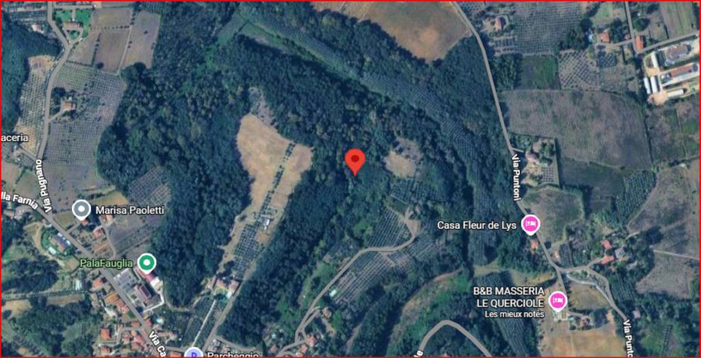 immagine annuncio 11 di 12