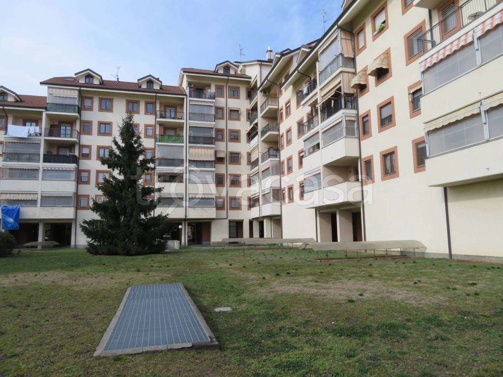 immagine annuncio 1 di 15