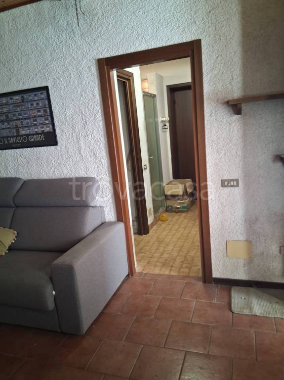 immagine annuncio 3 di 12