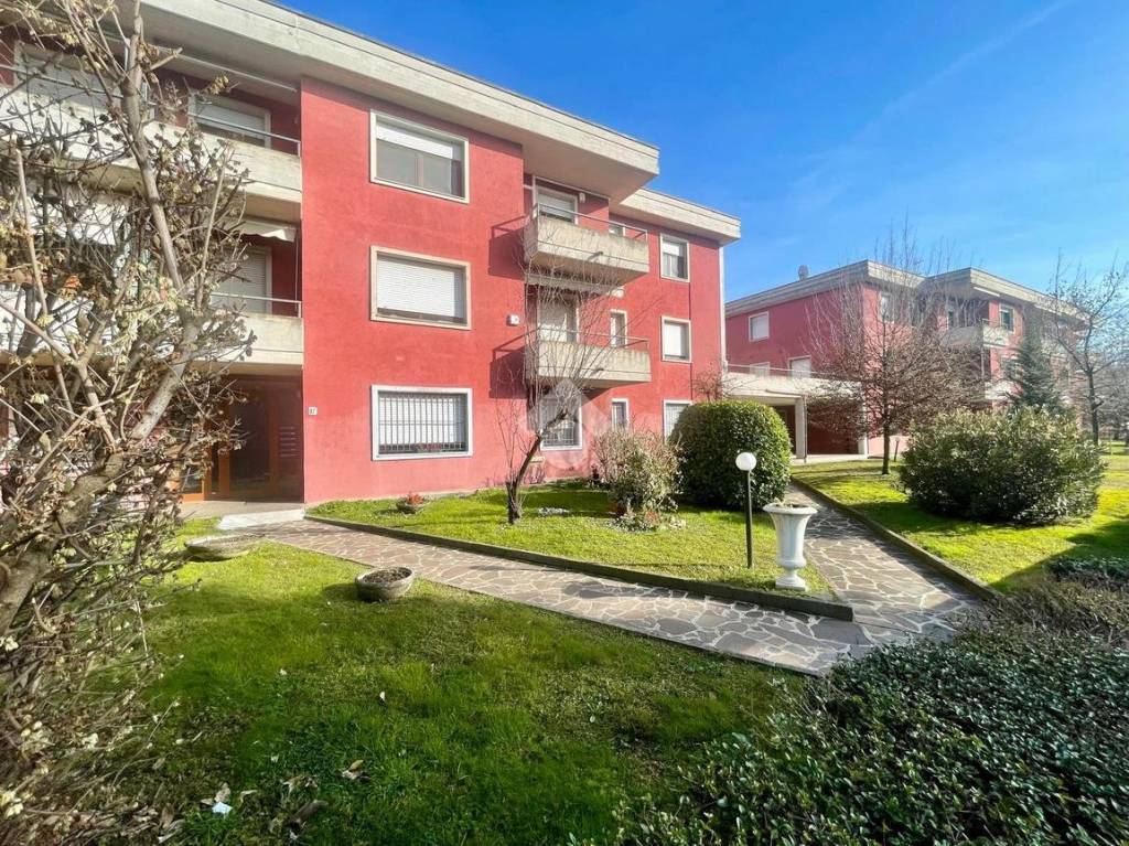 immagine annuncio 4 di 15