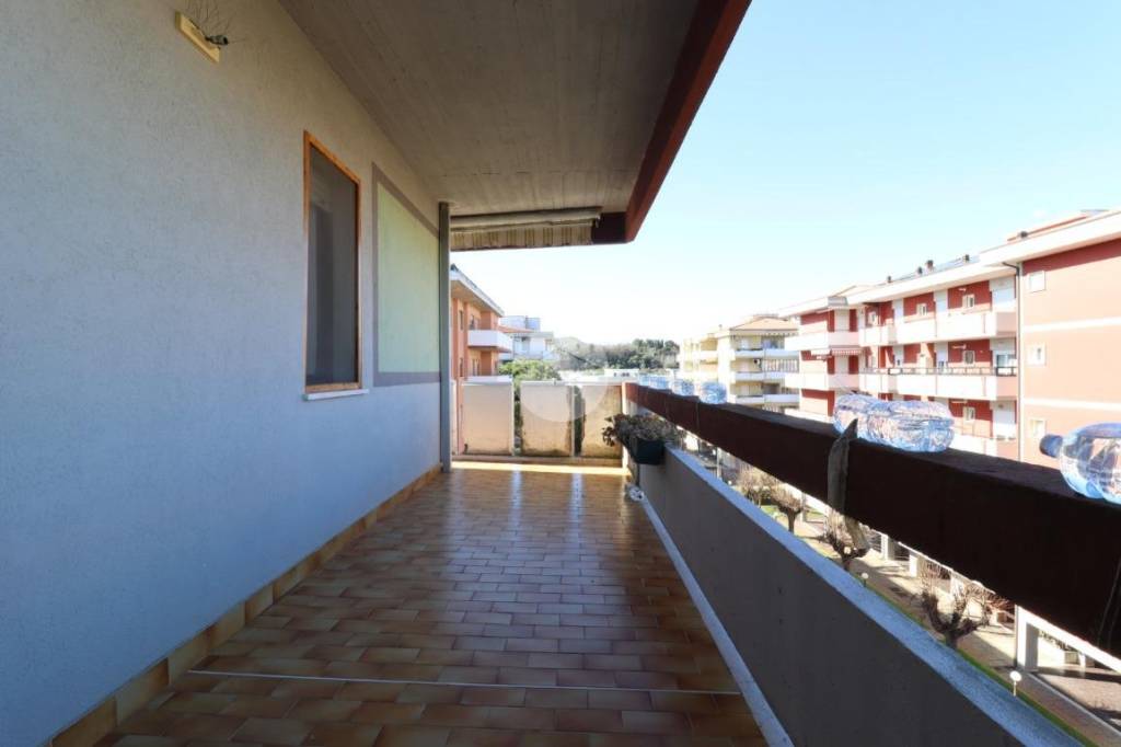 immagine annuncio 9 di 12