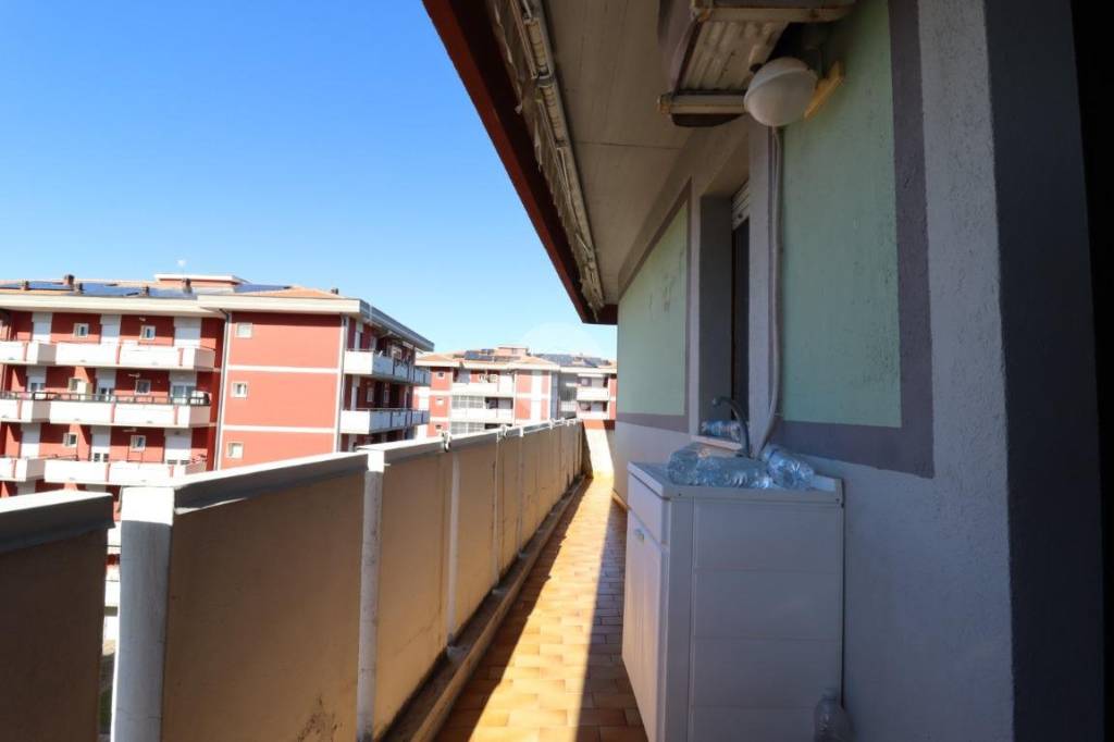 immagine annuncio 11 di 12