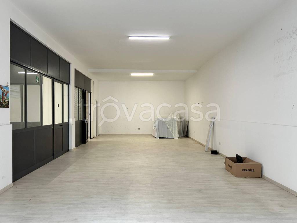 immagine annuncio 12 di 14