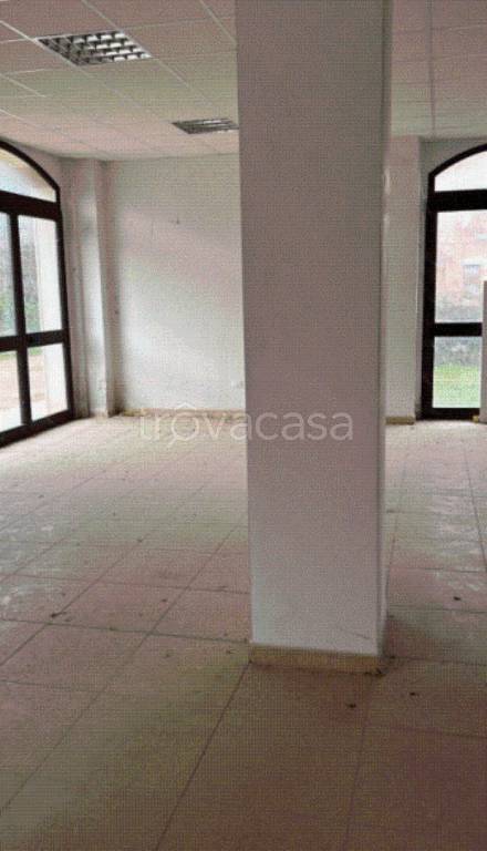 immagine annuncio 3 di 8