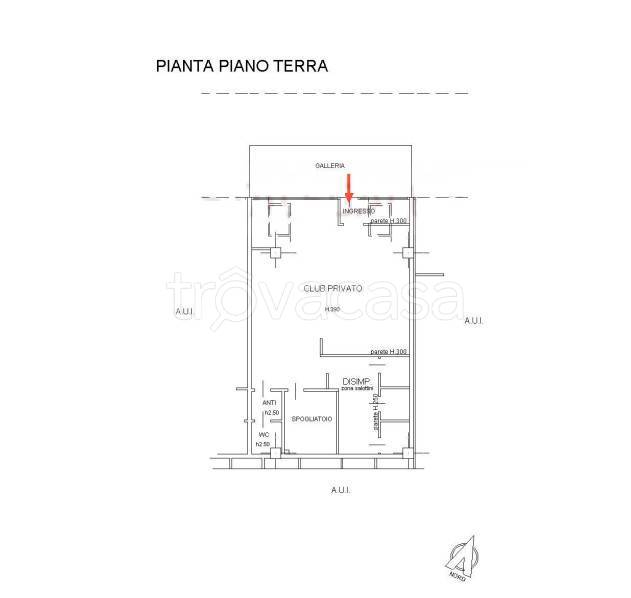 immagine annuncio 10 di 14