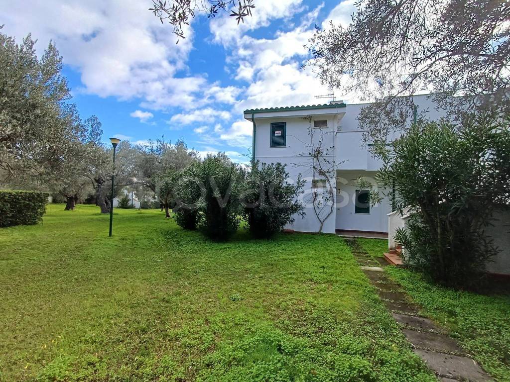 immagine annuncio 1 di 12