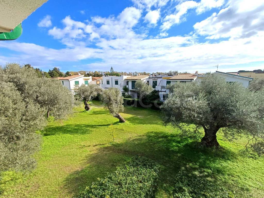 immagine annuncio 10 di 12