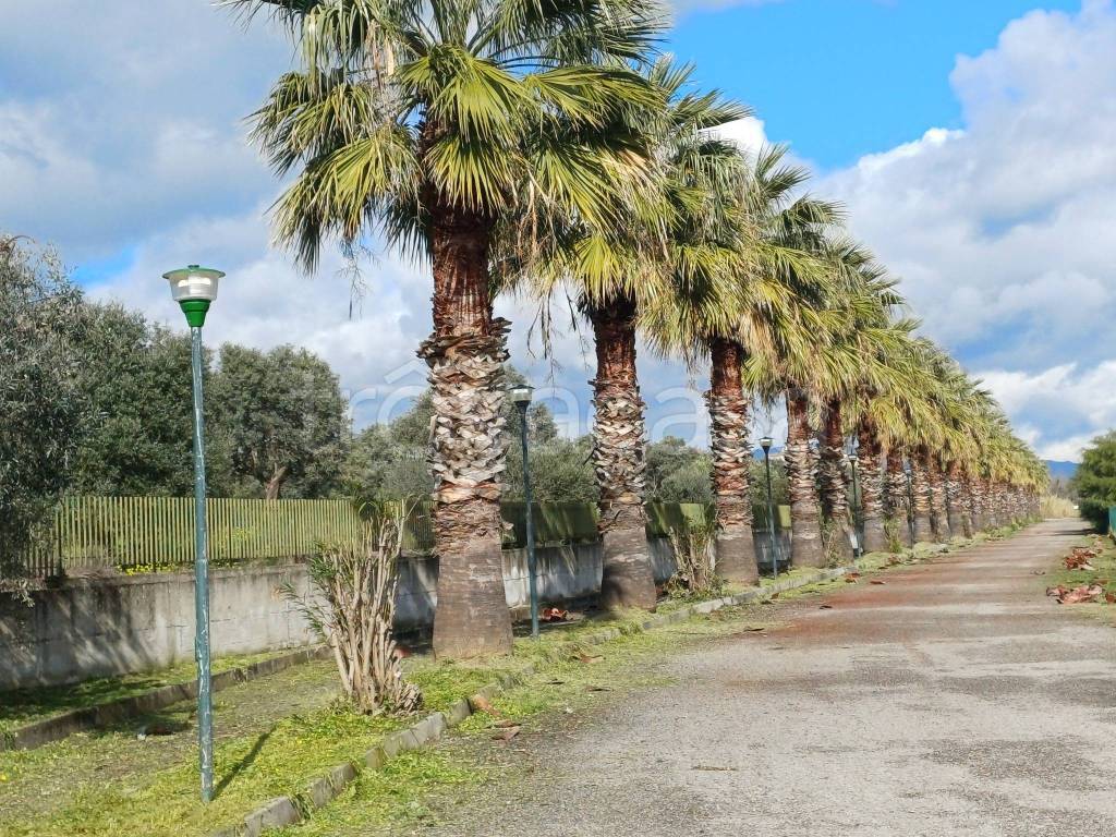 immagine annuncio 11 di 12