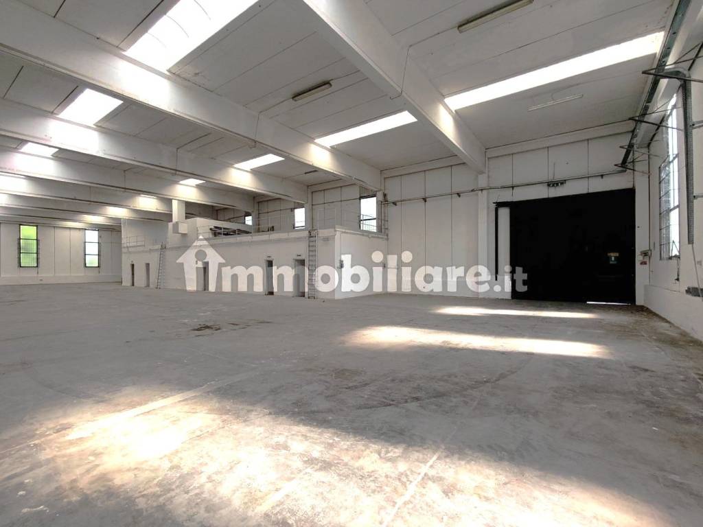 immagine annuncio 2 di 13