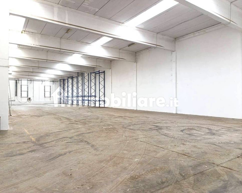 immagine annuncio 3 di 13