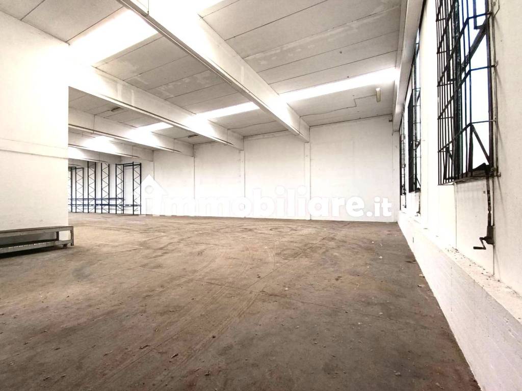 immagine annuncio 5 di 13