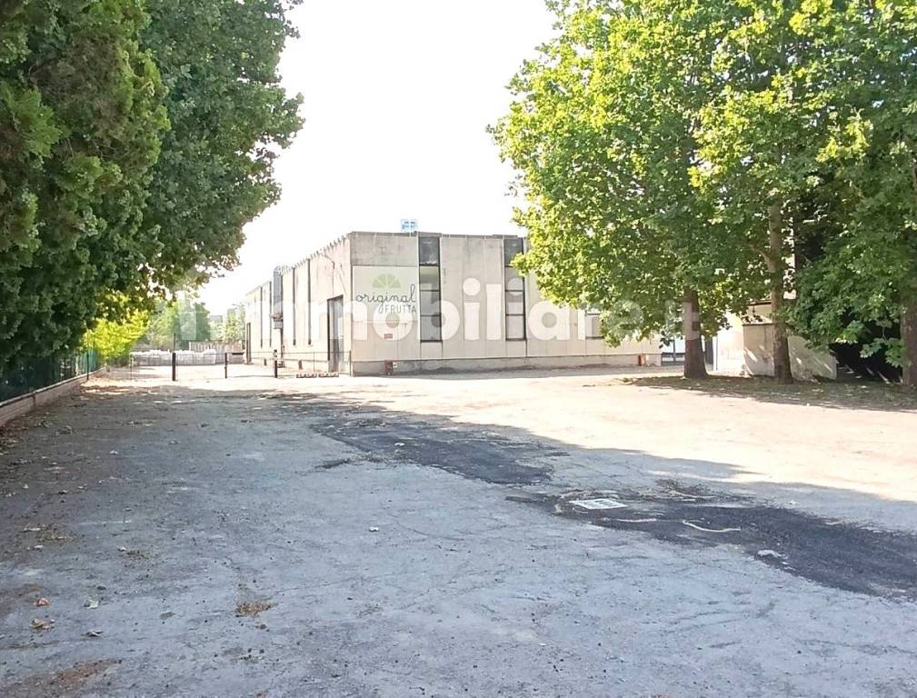 immagine annuncio 8 di 13