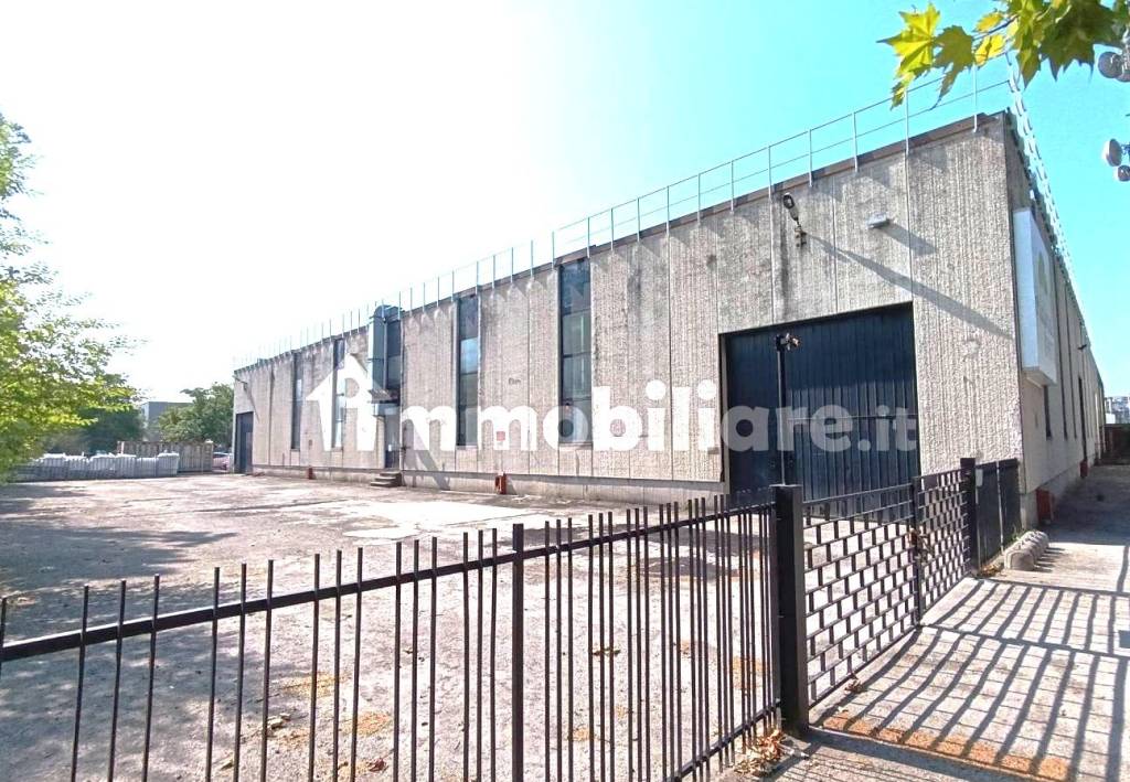 immagine annuncio 10 di 13