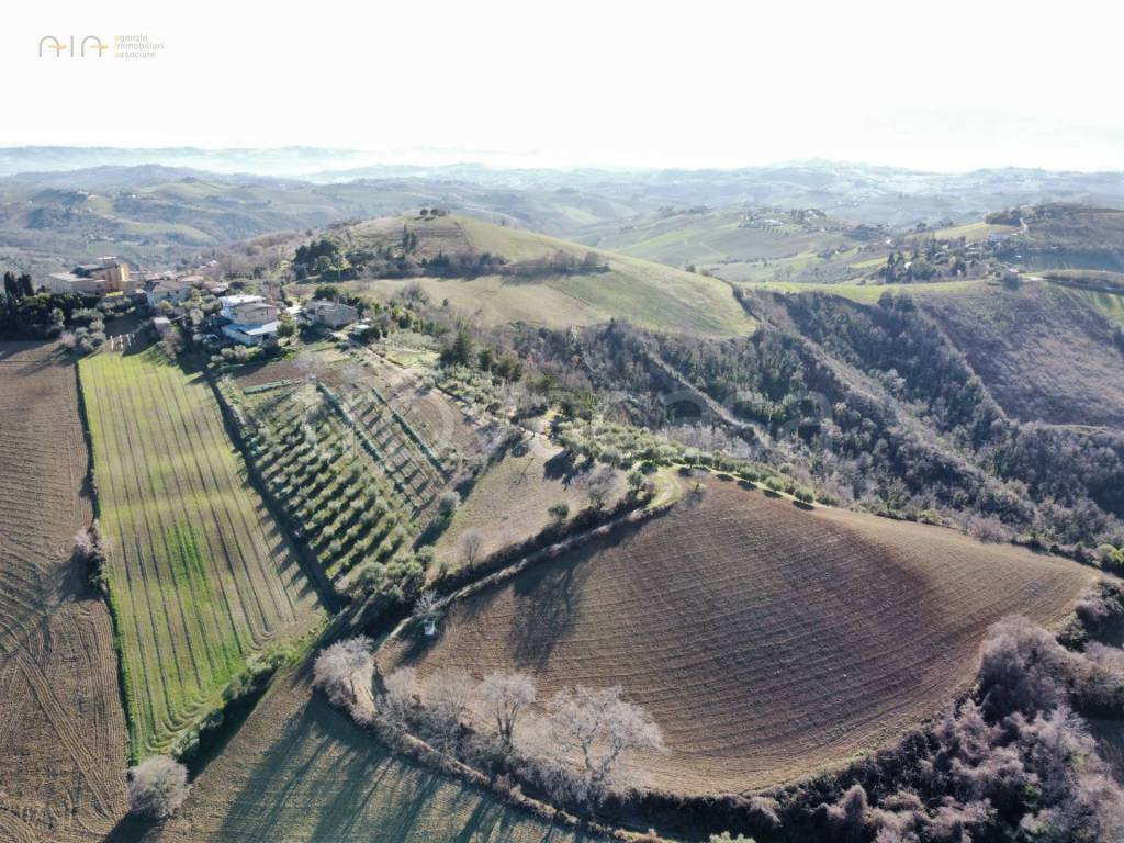 immagine annuncio 8 di 14