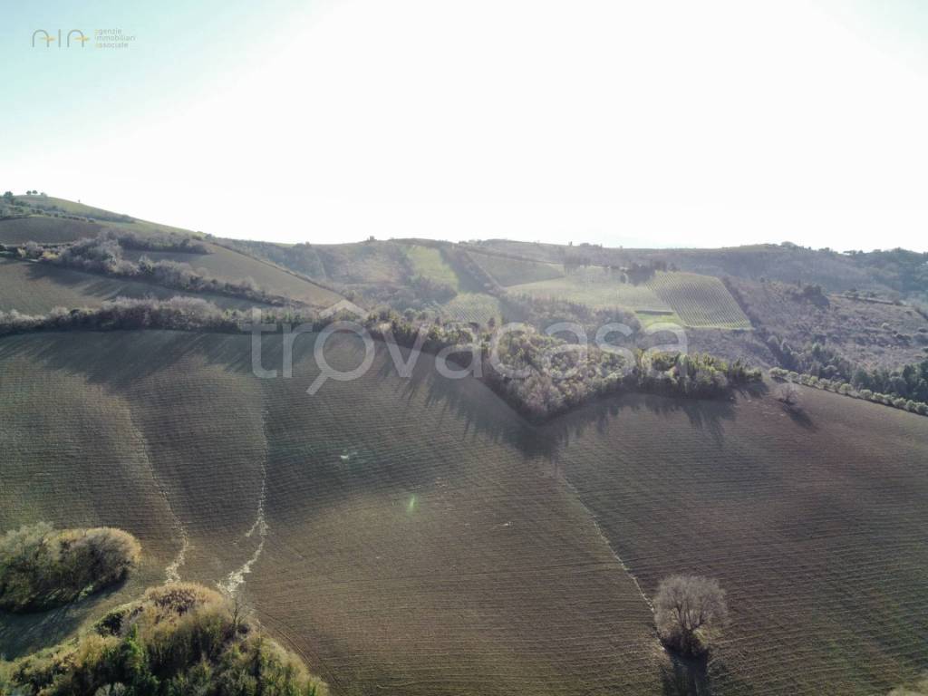 immagine annuncio 11 di 14