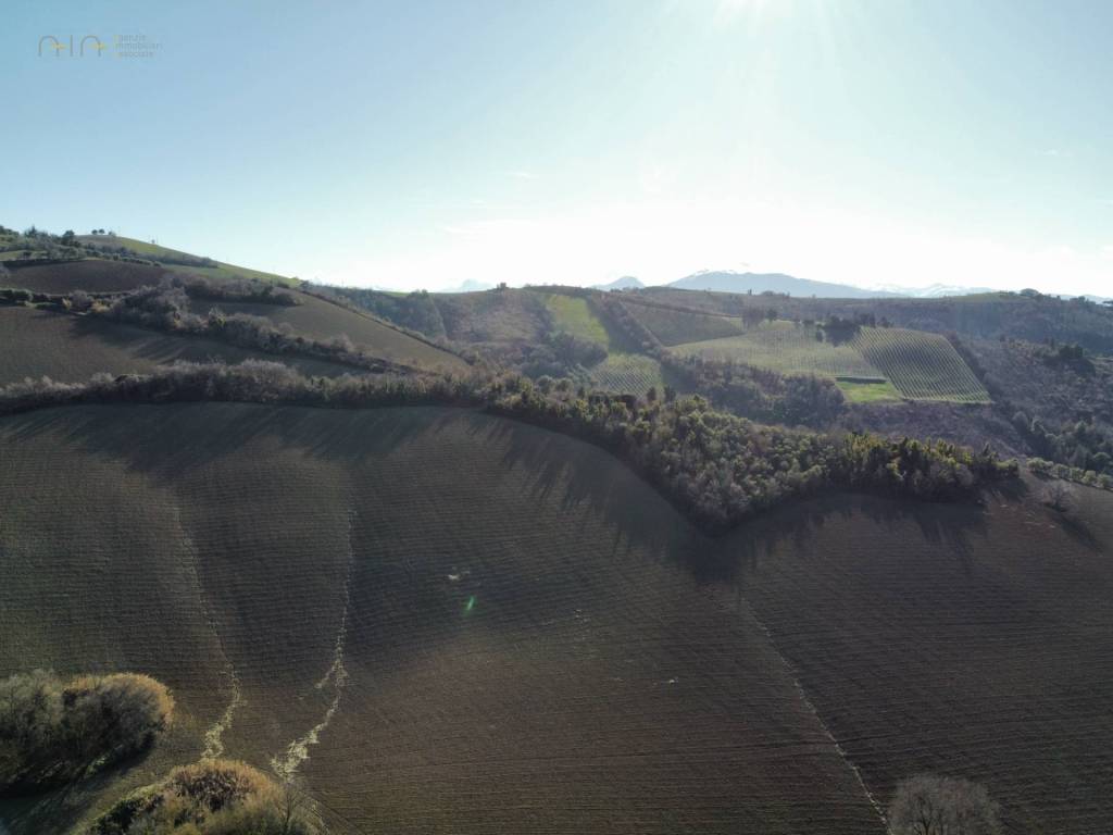 immagine annuncio 12 di 14