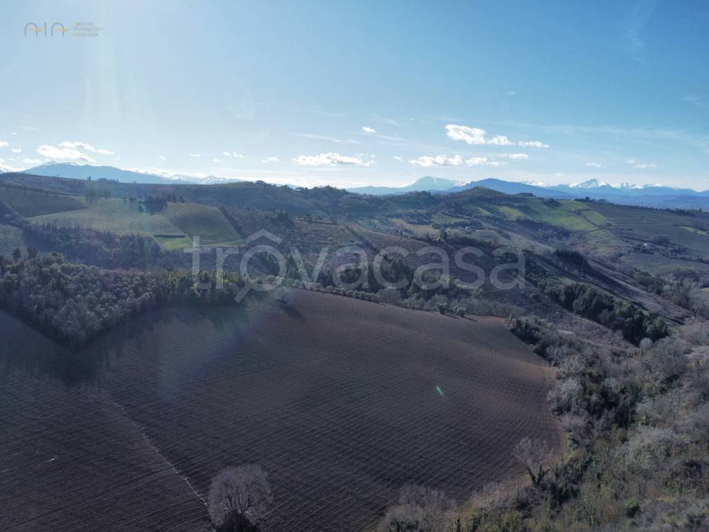 immagine annuncio 13 di 14