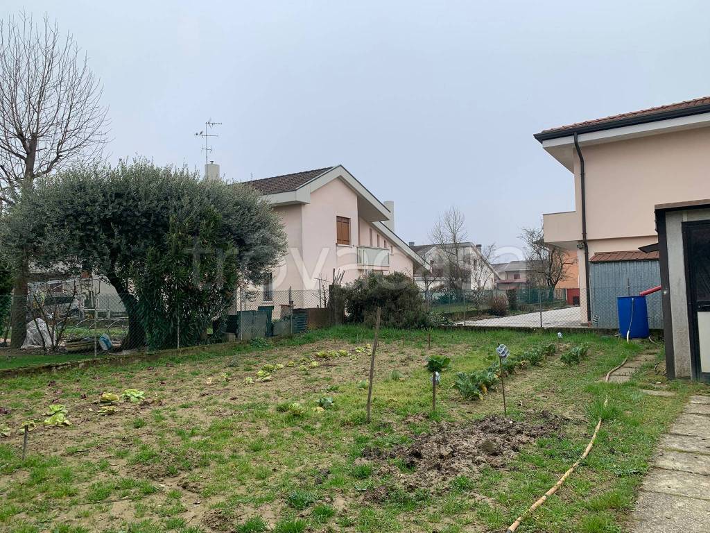 immagine annuncio 5 di 15