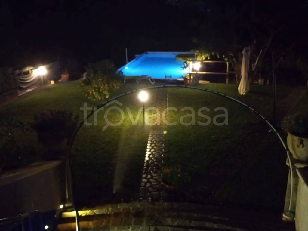 immagine annuncio 9 di 12