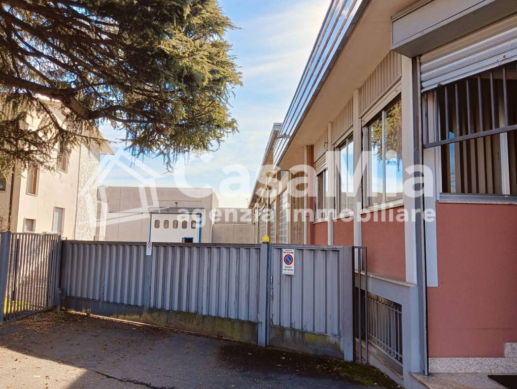 immagine annuncio 6 di 15