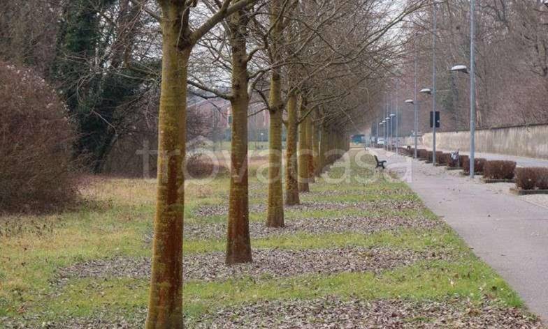 immagine annuncio 1 di 9