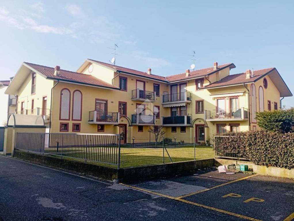 immagine annuncio 5 di 15