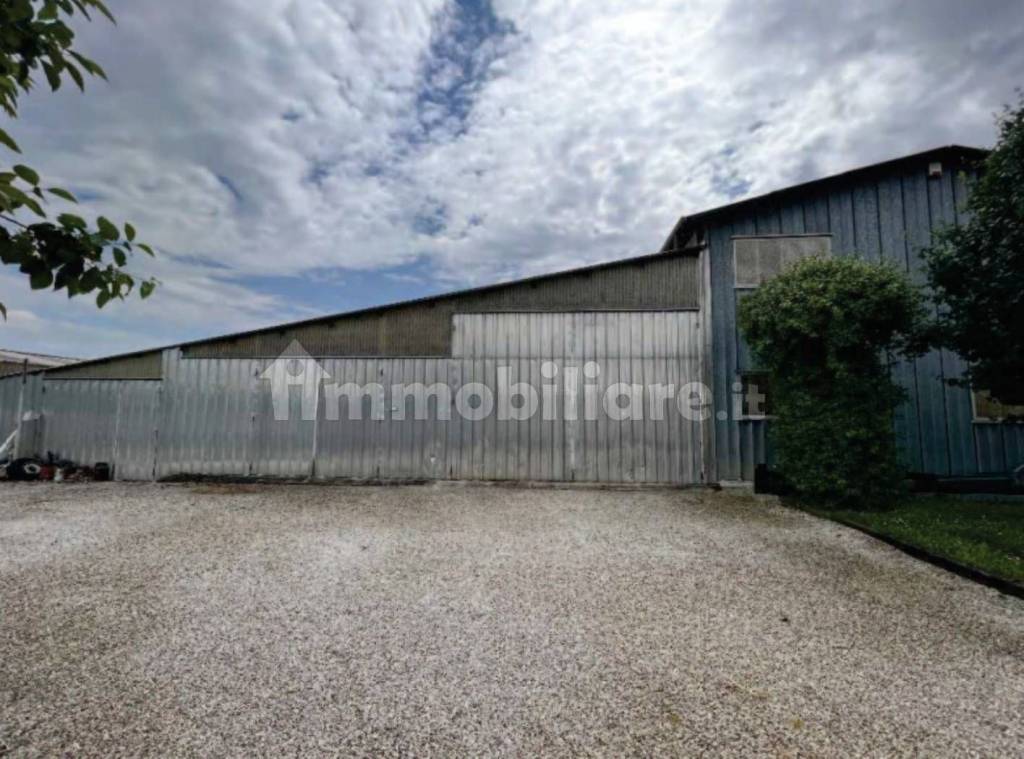 immagine annuncio 9 di 13