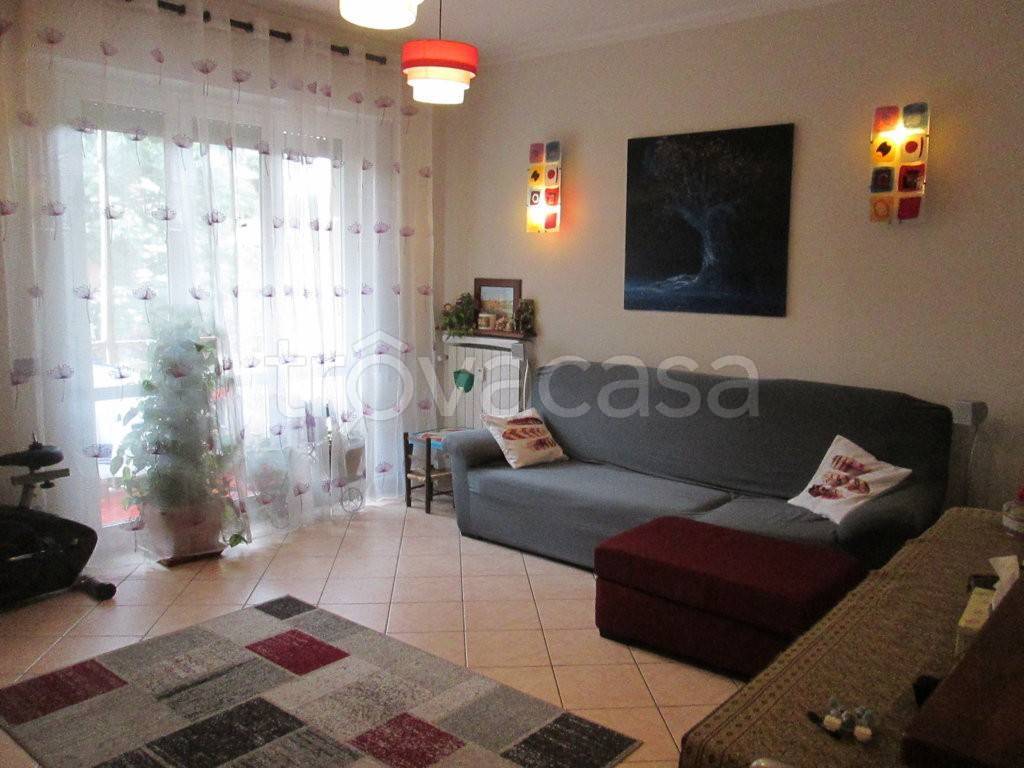 immagine annuncio 3 di 12