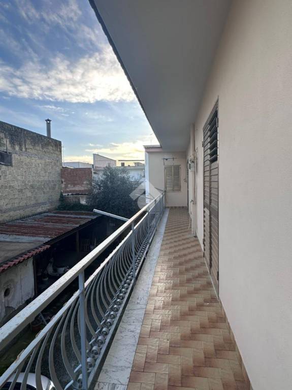 immagine annuncio 12 di 14