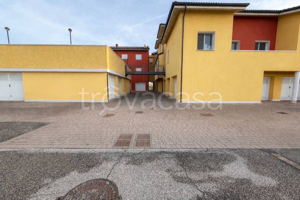 immagine annuncio 12 di 15