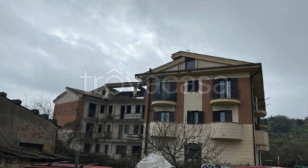 immagine annuncio 2 di 12