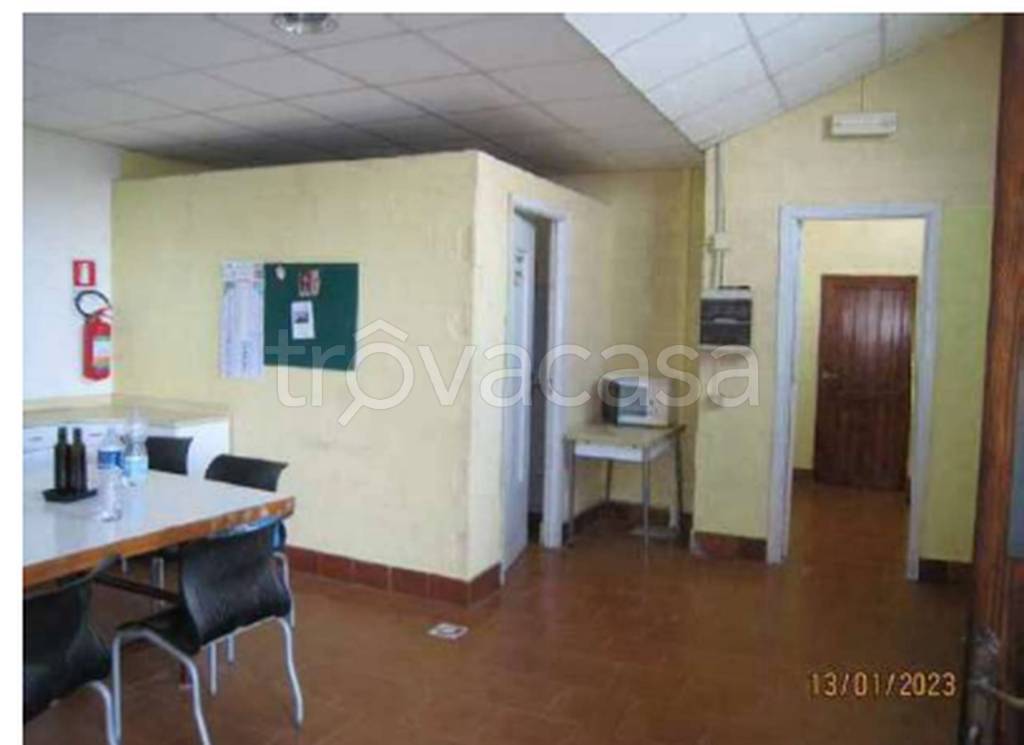 immagine annuncio 9 di 13