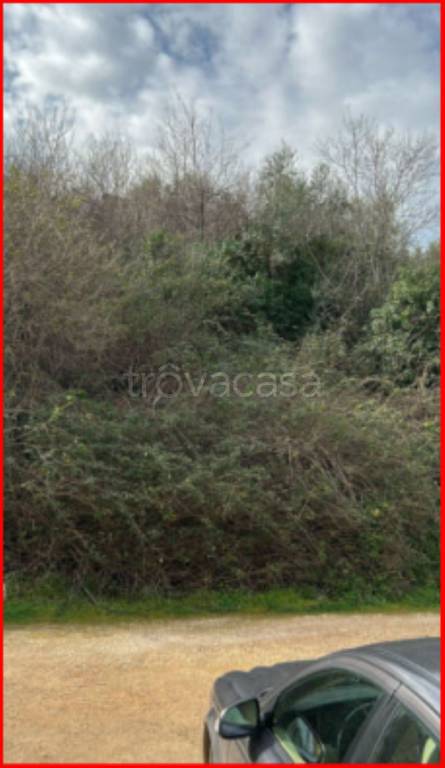 immagine annuncio 2 di 12