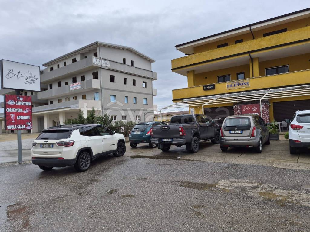 immagine annuncio 2 di 13