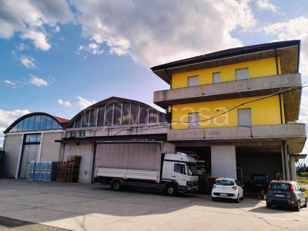 immagine annuncio 1 di 12