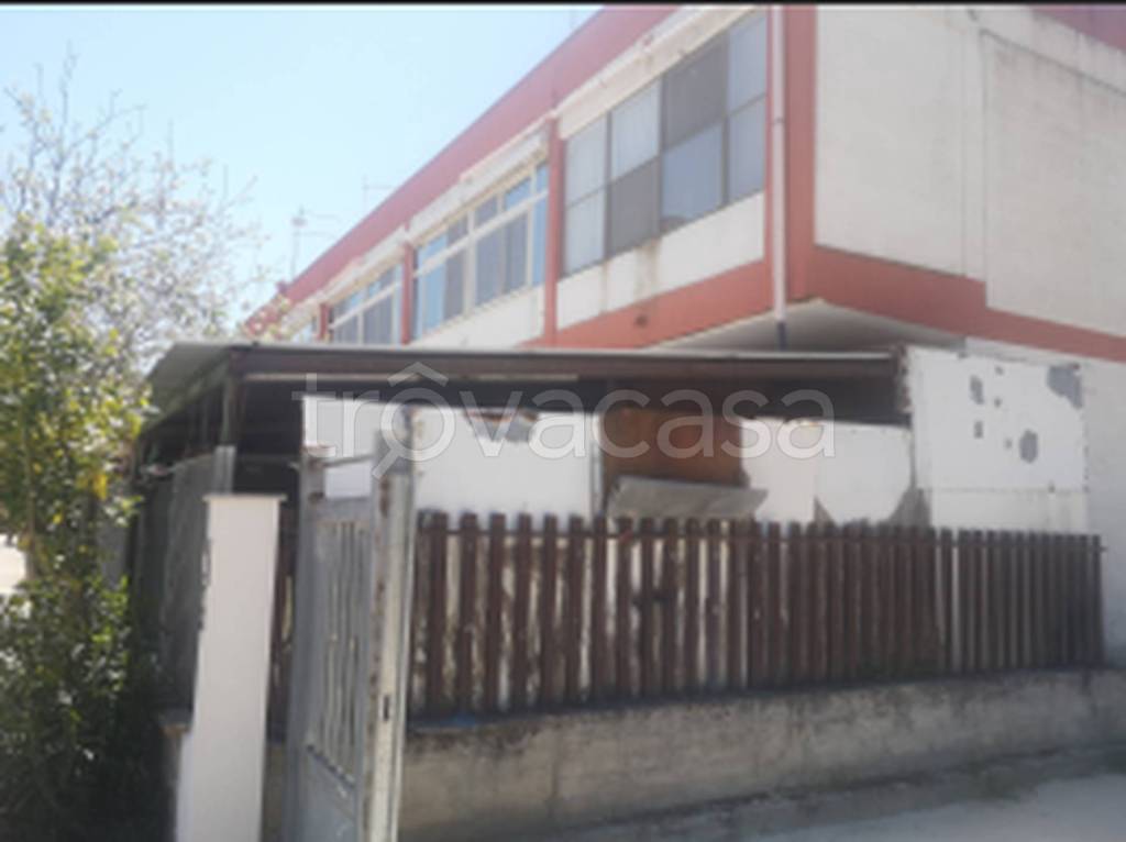 immagine annuncio 3 di 11