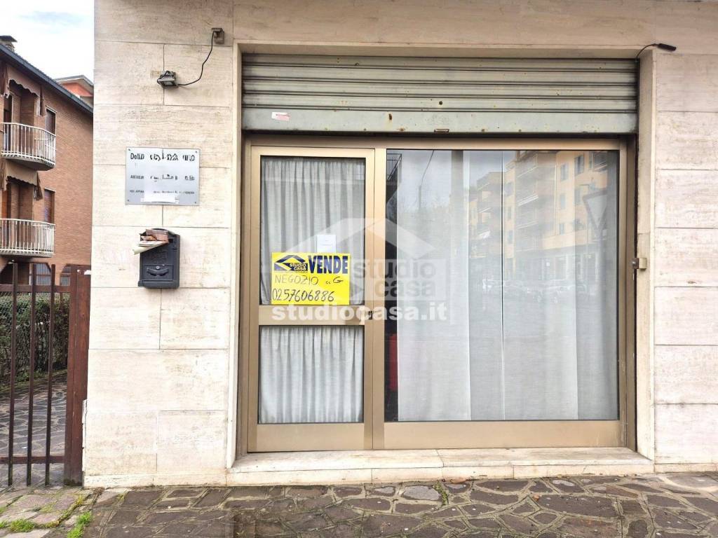 immagine annuncio 12 di 15