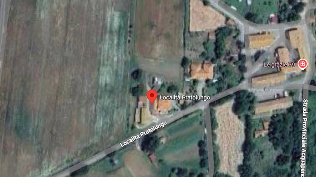 immagine annuncio 4 di 12