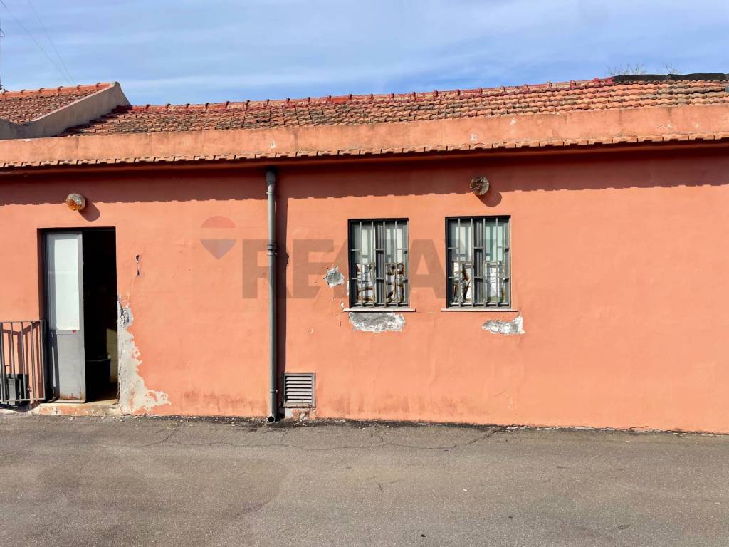 immagine annuncio 6 di 12