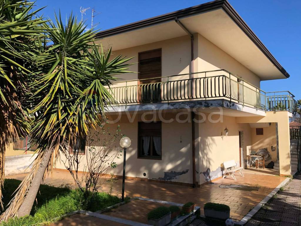 immagine annuncio 1 di 14