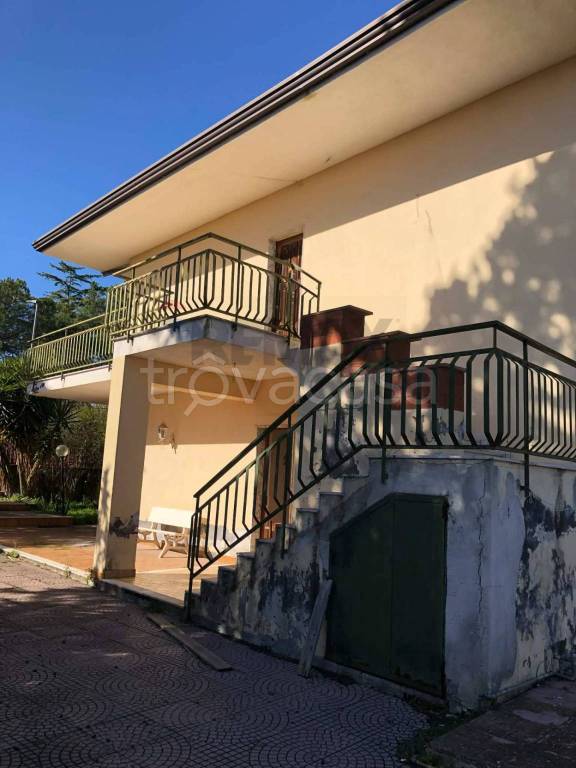 immagine annuncio 4 di 14