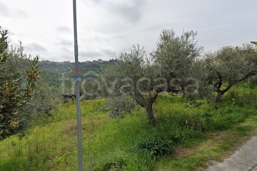 immagine annuncio 6 di 8