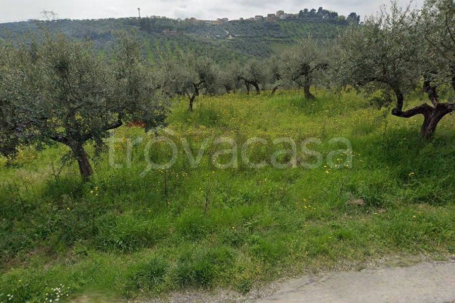 immagine annuncio 7 di 8