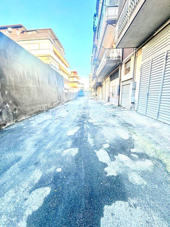 immagine annuncio 12 di 14