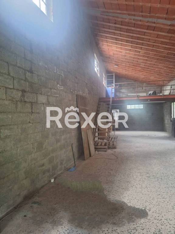 immagine annuncio 1 di 8