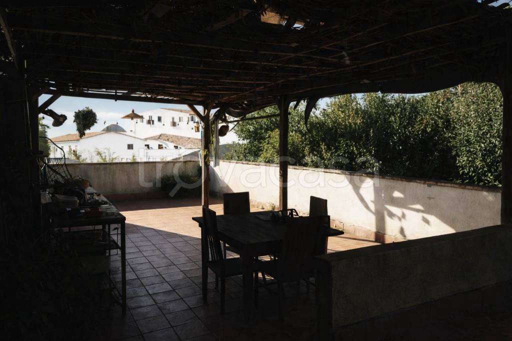 immagine annuncio 4 di 14