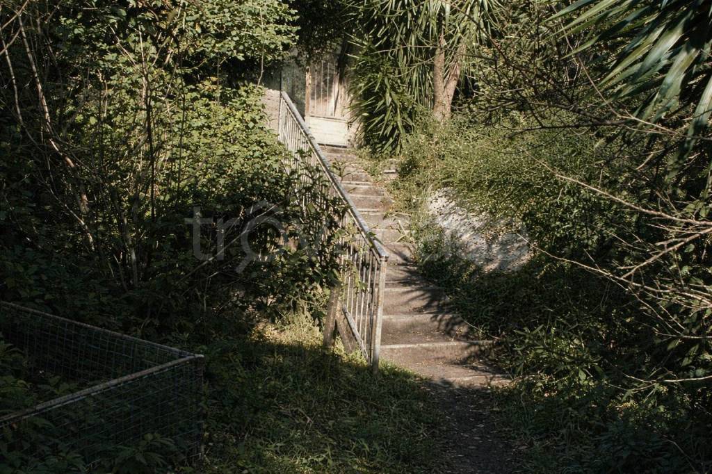 immagine annuncio 5 di 14